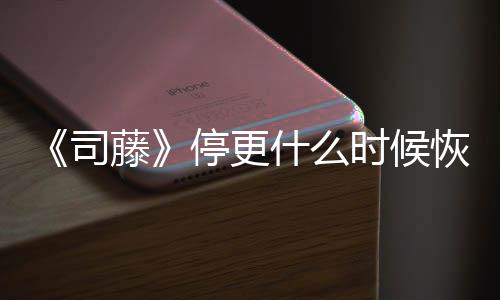 大恢复播出藤停更更新司什么时候时间结局揭秘