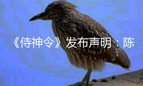 明主角为电布声侍神令陈坤影唯一男发