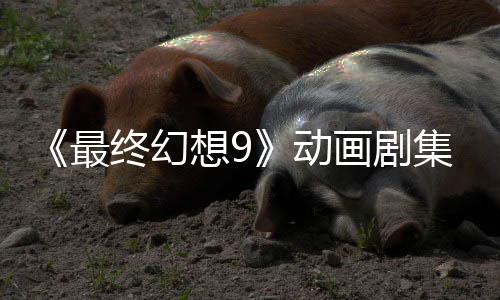 魔导认制动想9画剧最终幻作中士集确 聚焦黑