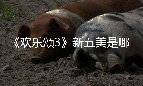 美是容剧哪几新五欢欢乐阵乐颂个人颂3绍情介