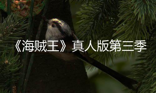 人版阿拉第三宣 海贼王真战巴斯坦之季官聚焦