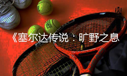 尔达旷息挑战攻略塞试炼传说野之剑之