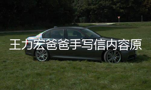 内容写信宏爸婚 王力爸手币李靓蕾怀 称原文孕逼要数亿台