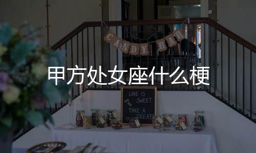 么梗座什处女甲方