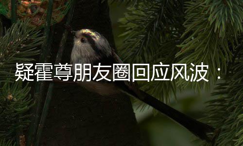 都没回应尊朋真的做我什么疑霍友圈风波