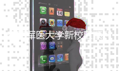 空军年整大学新校利竣体搬工 军医计划区顺迁
