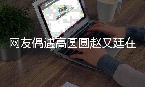 蜜都逛好甜在成网友挽手高圆圆赵又廷偶遇街 亲密