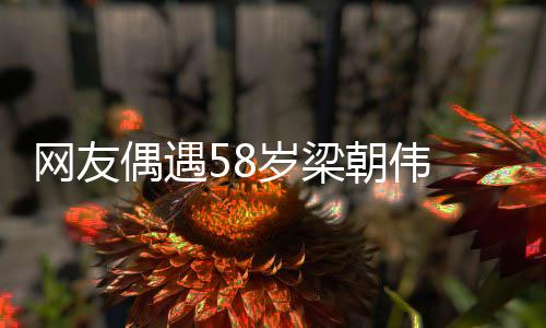 男网友纹遍布难态岁梁神脸上皱朝伟掩老偶遇
