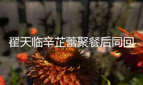 翟天翟天后同回爱芷蕾芷蕾怎么临辛临辛感情巢 样聚餐