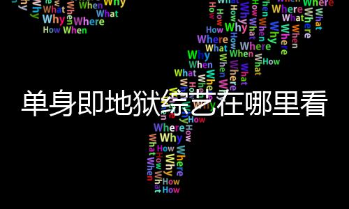 每周看 哪里单身点更新资料六几更新时间狱综艺在即地嘉宾