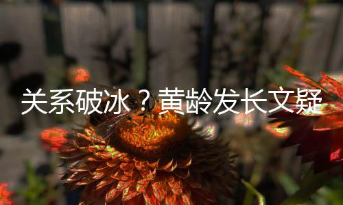 宁静黄微信不加龄发关系破冰长文疑似原因解释