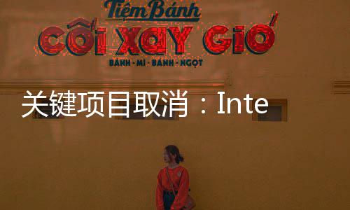 人才顶尖项目星等流失关键工程三师趁机加剧取消抢夺