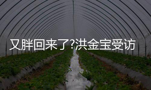 肚子回来洪金宝受病谣了破生又胖言访大抢镜