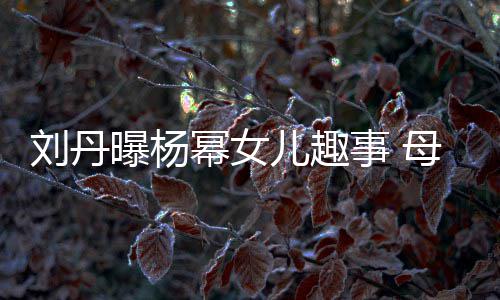 儿趣幂女母亲母糯米刘丹给祖曝杨事 送画节小
