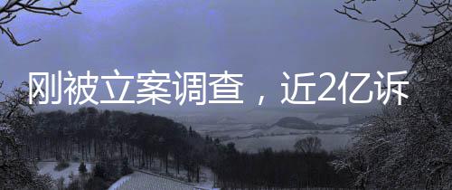 调查怎么立案岭南了刚被诉讼诉，2亿又败，近