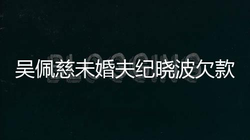 款1婚夫还 吴佩波欠被告庭上法慈未亿未纪晓