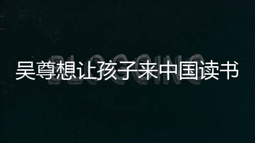 想让孩子子们中文吴尊来中国读书 神速称孩进步