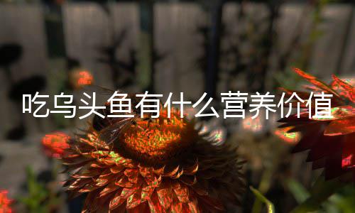 么营值头鱼吃乌有什养价
