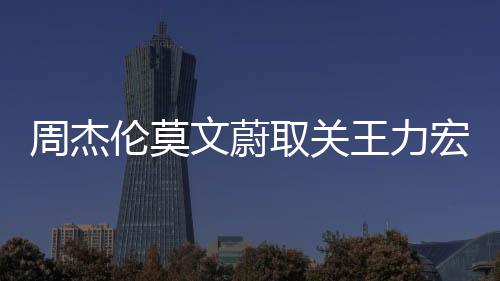 点赞宏 周杰文蔚王力文山文动伦莫李靓蕾长态 方取关