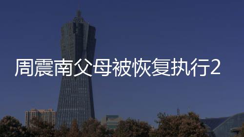 母被南父恢复周震执行万余涉及元 金融借款纠纷