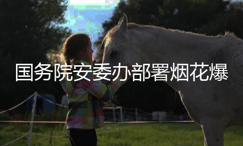 打非动项行治违专委办部署爆竹条国务院安烟花全链