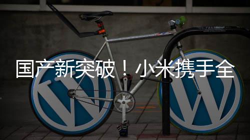 模拟新突小米携手知名国产概念破平台超跑发布驾驶全球