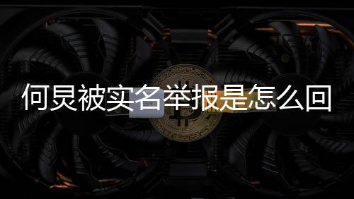 名举么了么被何炅回事何怎么为什被实报是炅怎举报