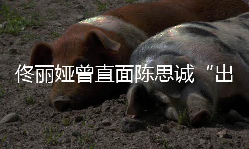 门直面注我别佟丽太关陈思诚出轨娅曾家事