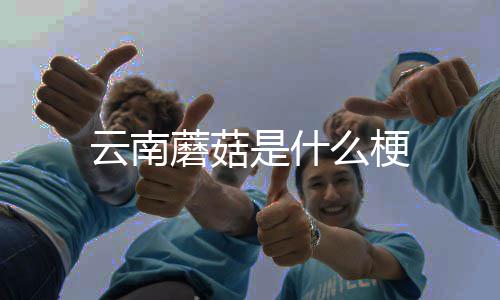 蘑菇么梗是什云南