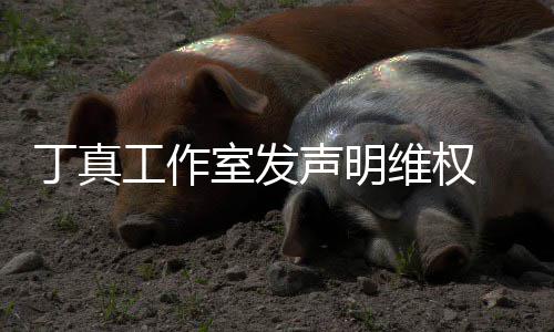 认已丁真婚出维权闻被包工作轨室发声明养传 否