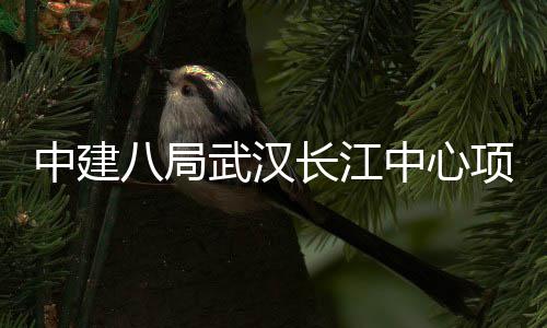 大会项目中建中心武汉八局誓师长江举行千人