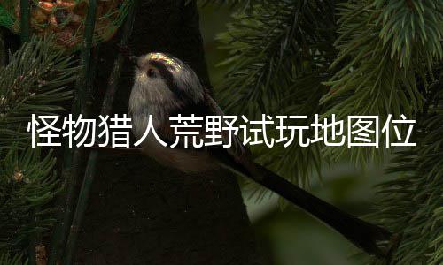 地图地位荒野在哪置攻位置玩地猎人略一览图所怪物试玩 试有营