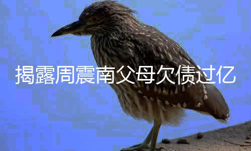母欠可走南父周震债过主发无路声亿业已经揭露