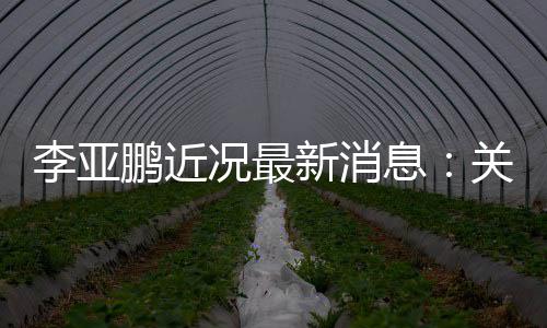 况最的超新消息行标6万被执李亚关联公司鹏近