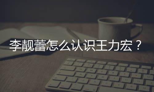 么认学历资料李靓蕾怎力宏李个人识王靓蕾