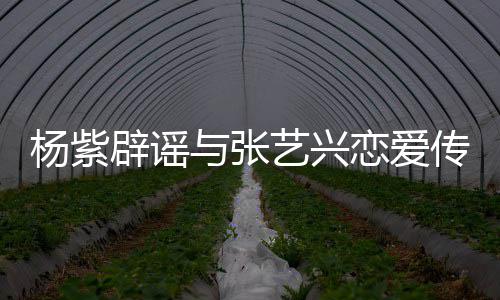 我辟谣恋爱是单身女传闻杨紫与张艺兴强人