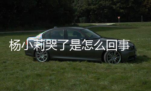 人被小莉新进回事怎么最展帮忙莉哭了是老狗咬事件始末杨小