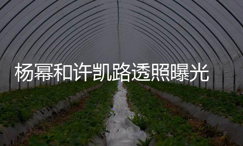幂身美腿凯路可见和许透照曝光穿白衬衣杨幂 杨隐约