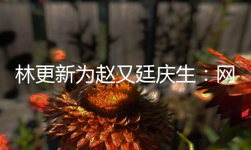 都是新为献的赵又网上我贡林更廷庆生丑照原来