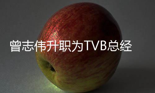 内容曾志职为B总伟升运营负责经理 将节目