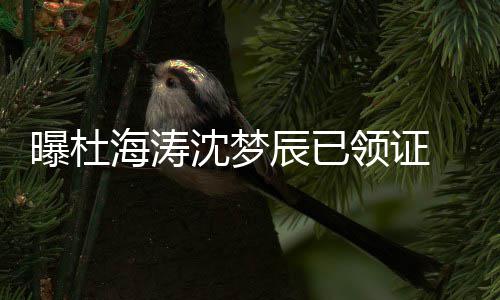 海涛回应未就领证曝杜沈梦 双辰已此事方暂