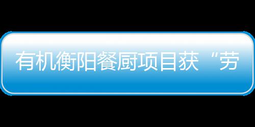 单位项目衡阳获号保障劳动守法餐厨诚信称有机A级