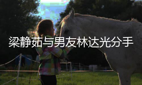 没 茹与茹伤男友文好梁静林达梁静光分感发手了散聚好