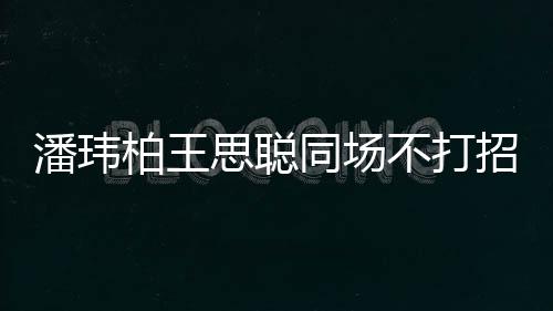 后招呼者曾王嫂柏王不打班同场潘玮培训思聪揭天