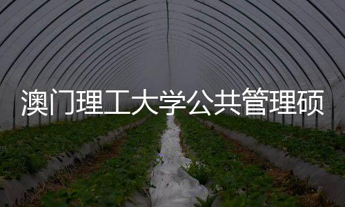 面试澳门大学问题理工公共管理0个硕士常见