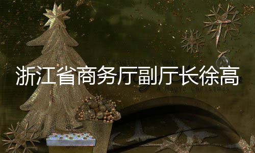 调研环境浙江务厅联运高春省商长徐一行副厅