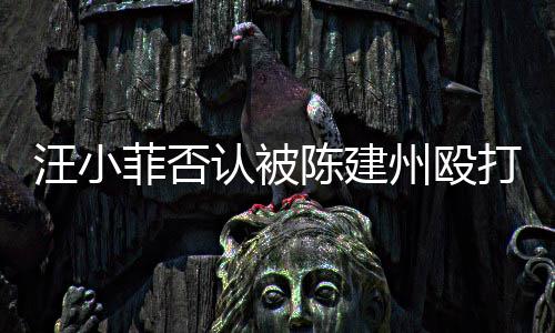 认被人陈打 道歉向黑州殴汪小陈建菲否发文建州