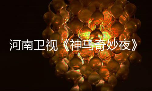 马奇妙夜河南卫视播播出神出时间 几月几日几点