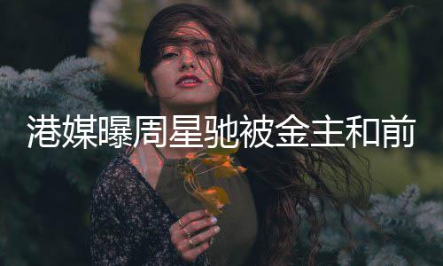 星驰主和债 被金港媒曝周超2友追亿金额前女