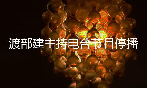 目停渡部席录制闻缺播 台节轨丑持电因出建主